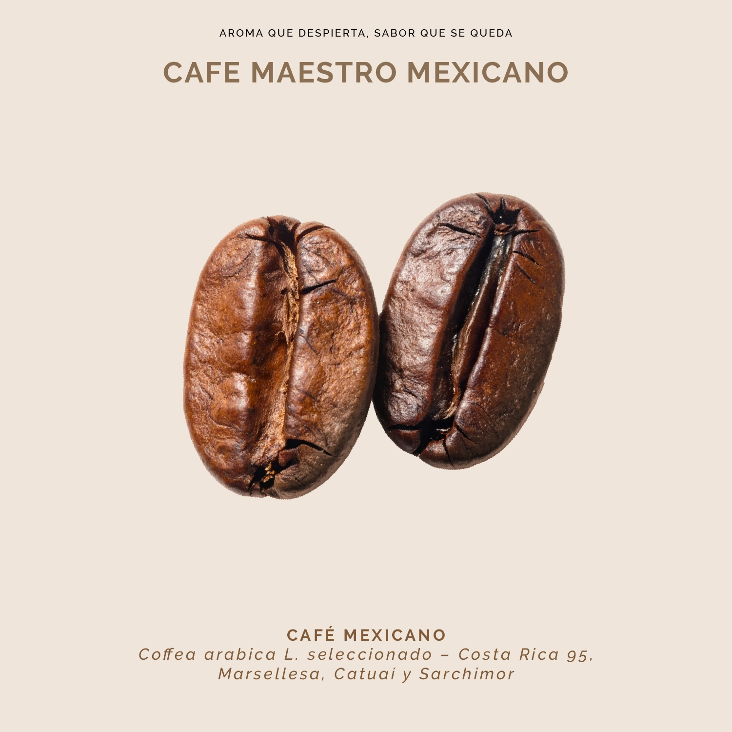 Café Mezcla de tueste miniatura 5