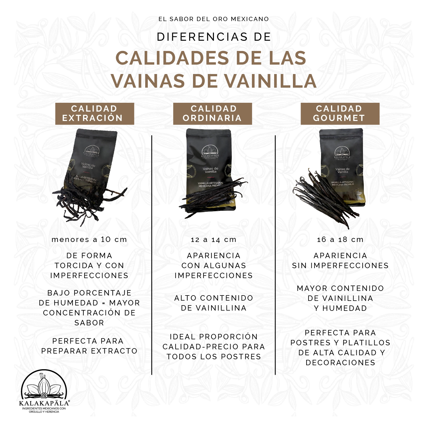Vainas de Vainilla miniatura 4